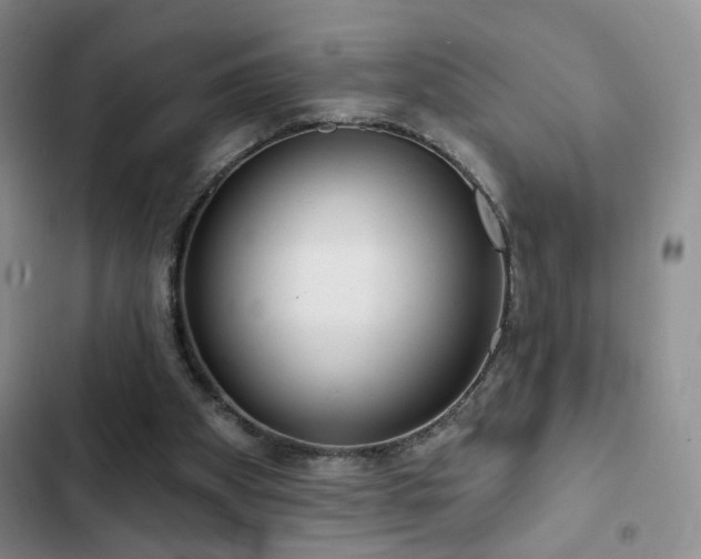 X0000103150105200808221340