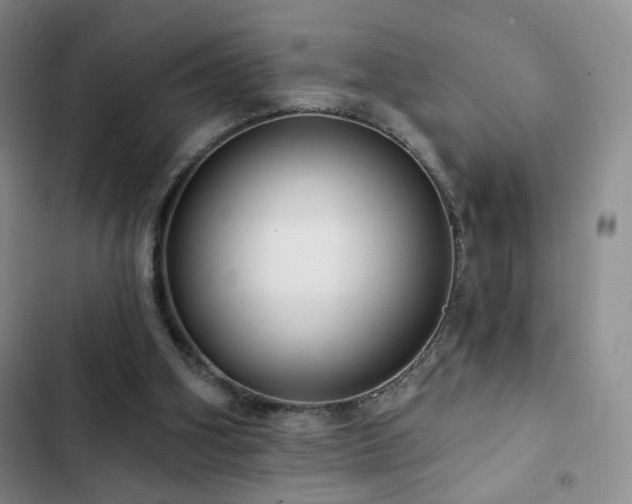 X0000103150106200808221340