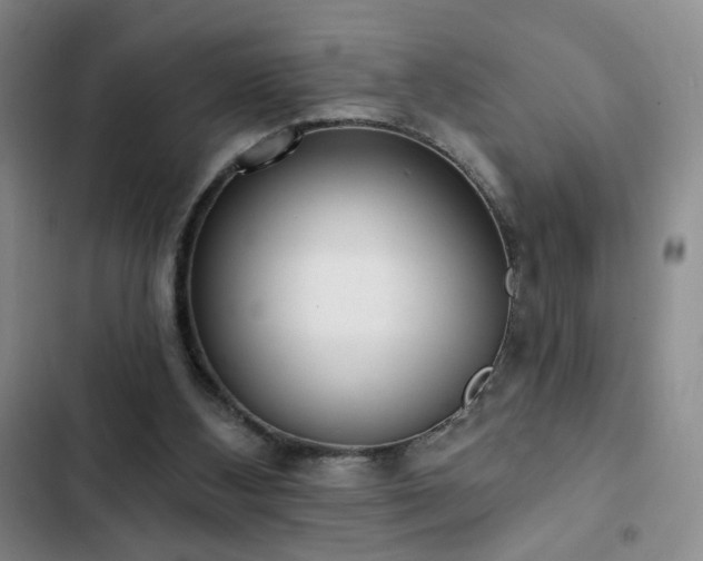 X0000103150108200808221340