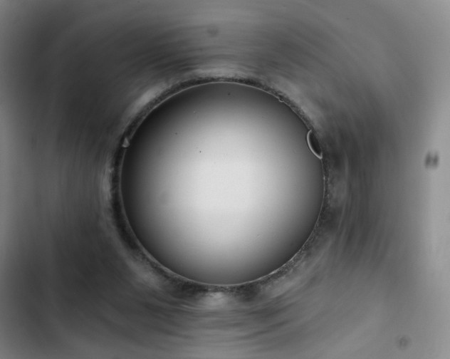 X0000103150111200808221340