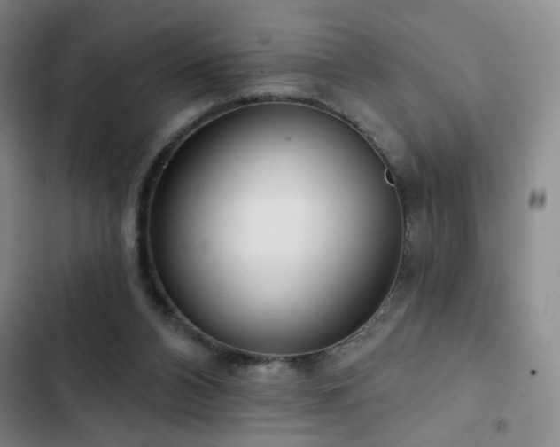 X0000103150112200808221340