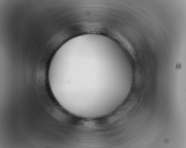 X0000103150113200808221340