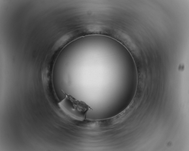 X0000103150116200808221340