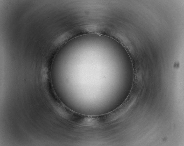 X0000103150117200808221340