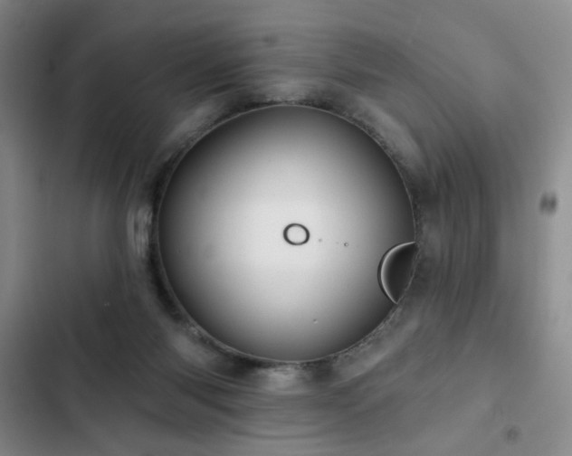 X0000103150118200808221340