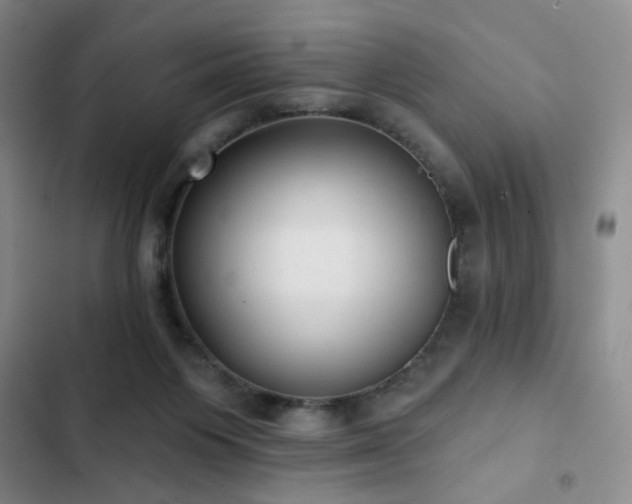 X0000103150119200808221340