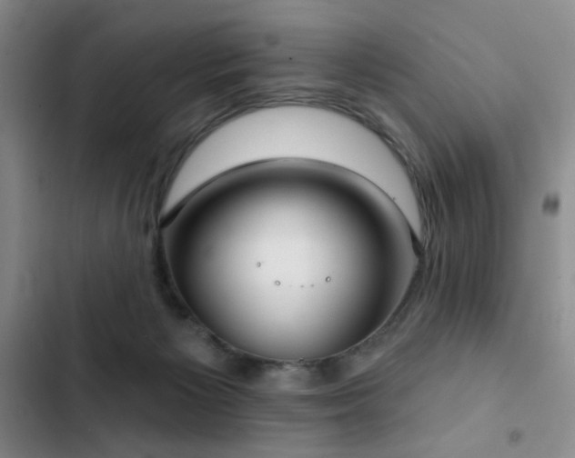 X0000103150125200808221340