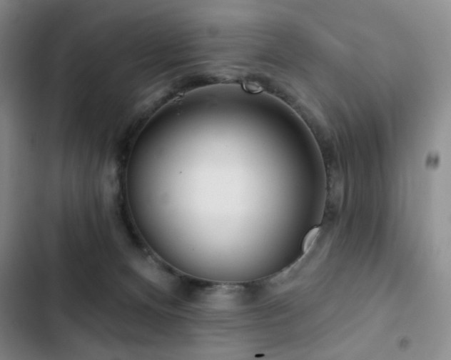 X0000103150128200808221340