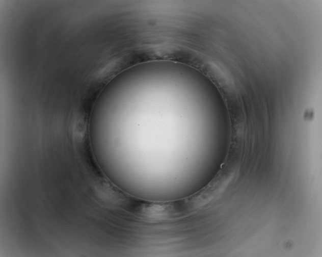 X0000103150129200808221340