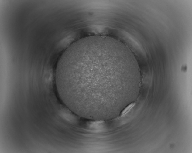 X0000103150132200808221340