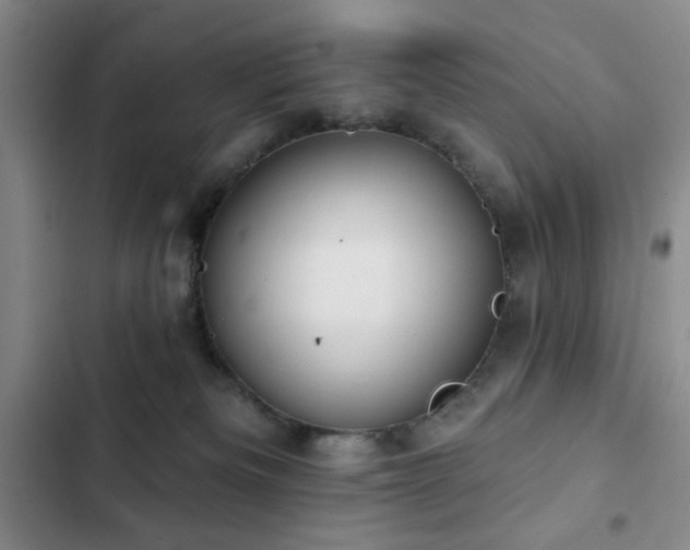 X0000103150133200808221340