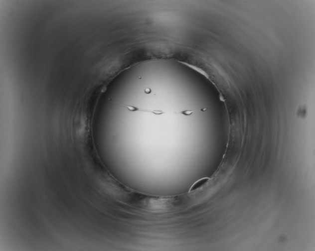 X0000103150134200808221340