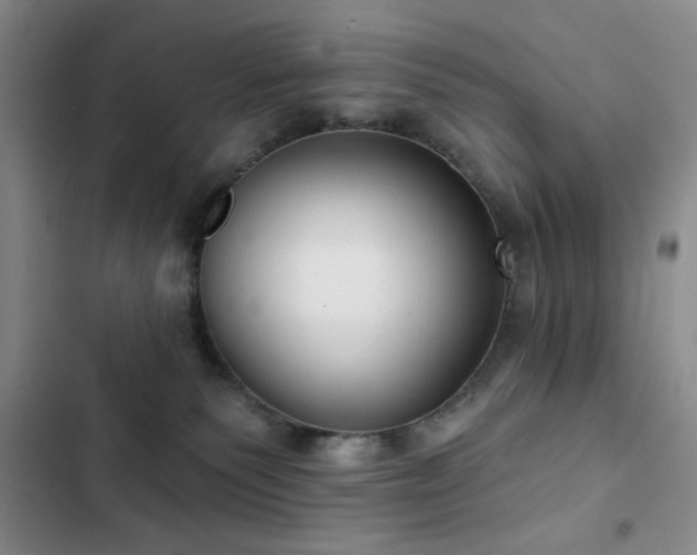 X0000103150135200808221340