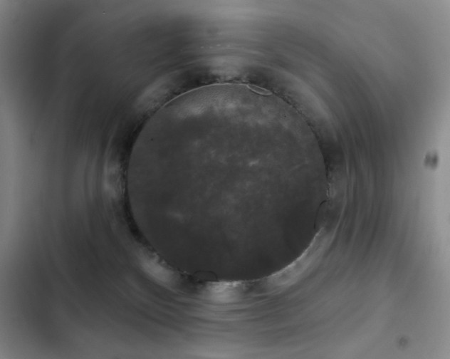 X0000103150136200808221340