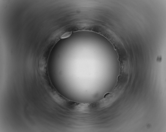 X0000103150138200808221340