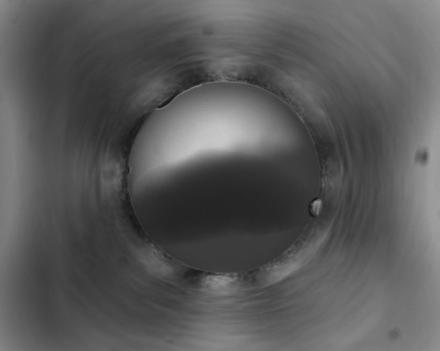 X0000103150139200808221340