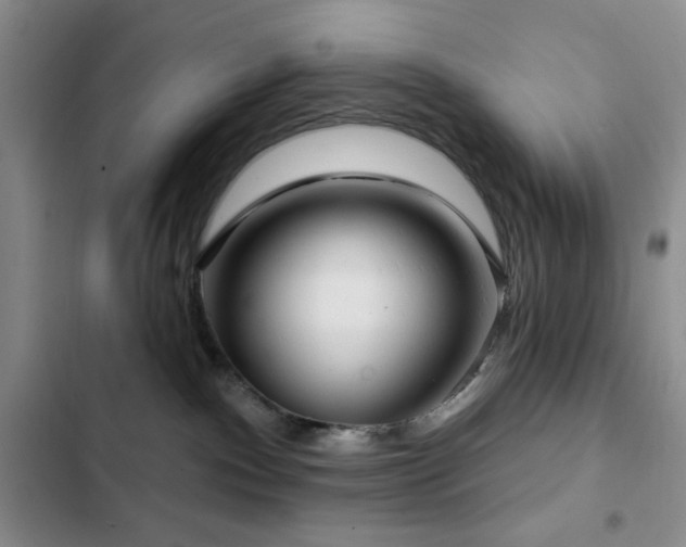 X0000103150140200808221340