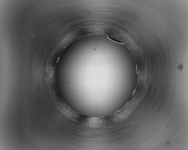 X0000103150141200808221339