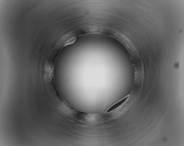 X0000103150142200808221339