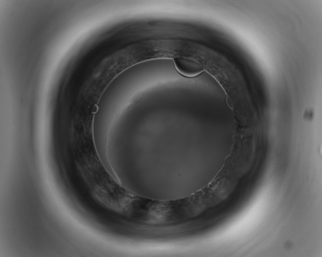 X0000103150143200808221339