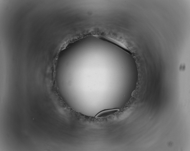 X0000103150144200808221339