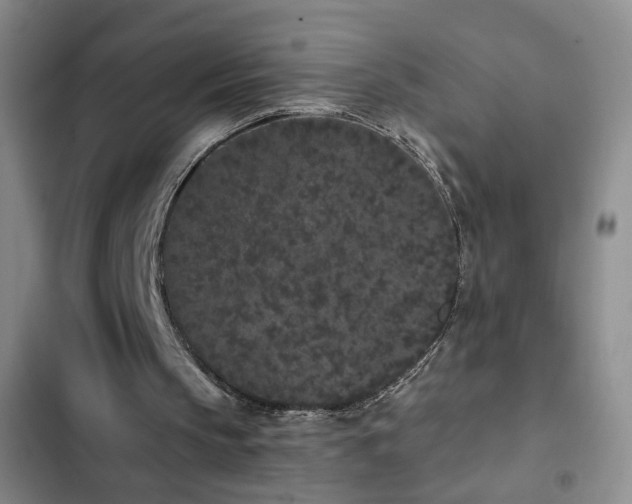 X0000103150145200808221339