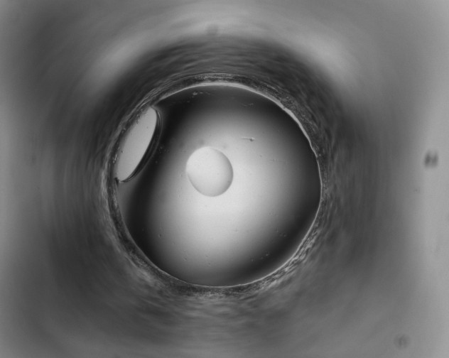 X0000103150146200808221339