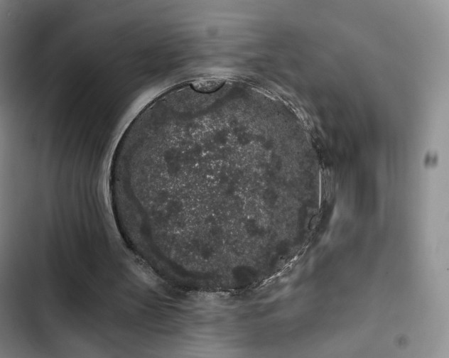 X0000103150147200808221339