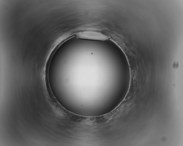 X0000103150148200808221339