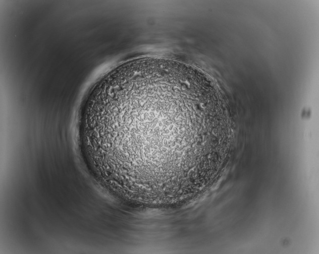 X0000103150149200808221339