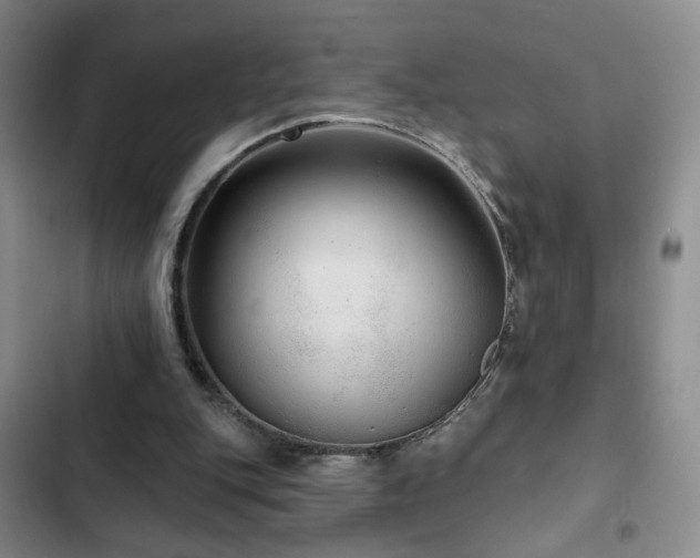 X0000103150151200808221339