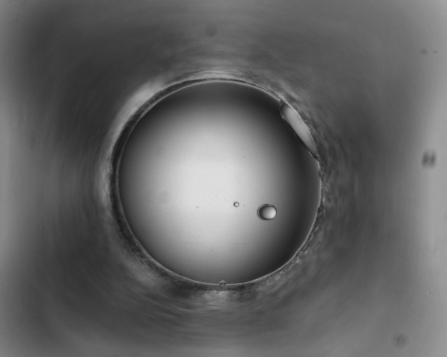 X0000103150152200808221339