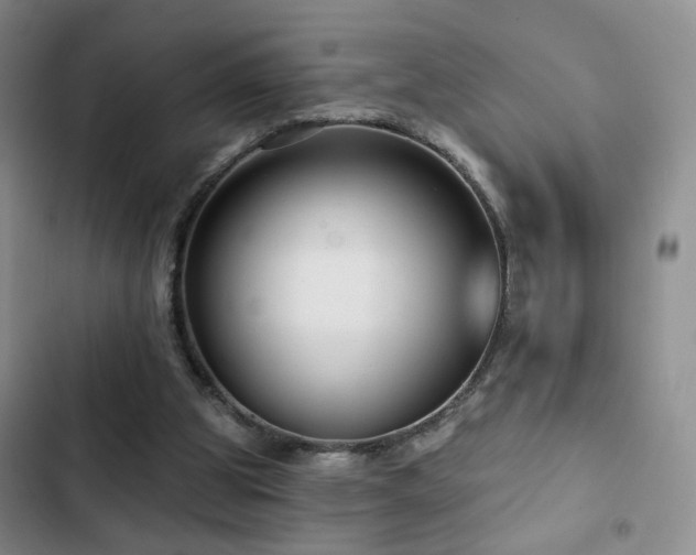 X0000103150153200808221339