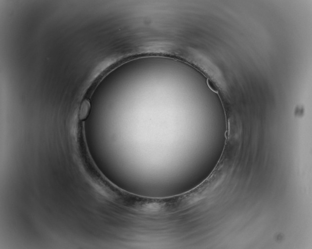 X0000103150156200808221339