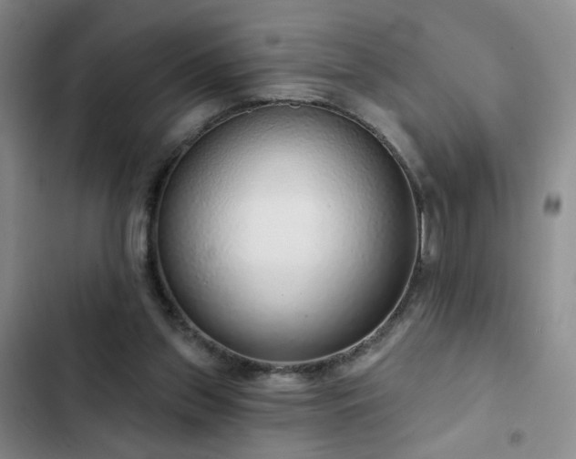 X0000103150157200808221339