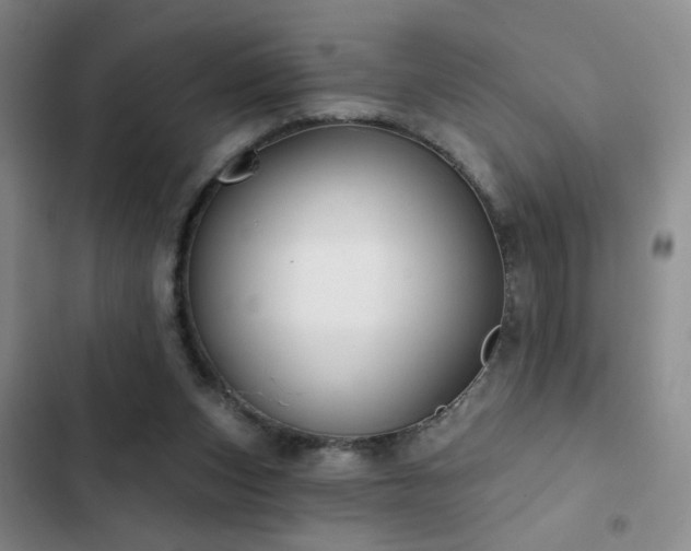 X0000103150159200808221339