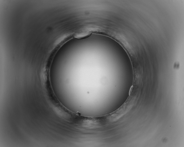 X0000103150160200808221339