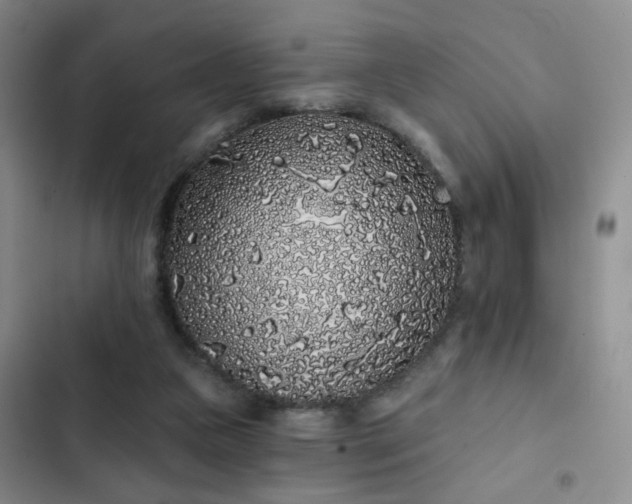 X0000103150161200808221339