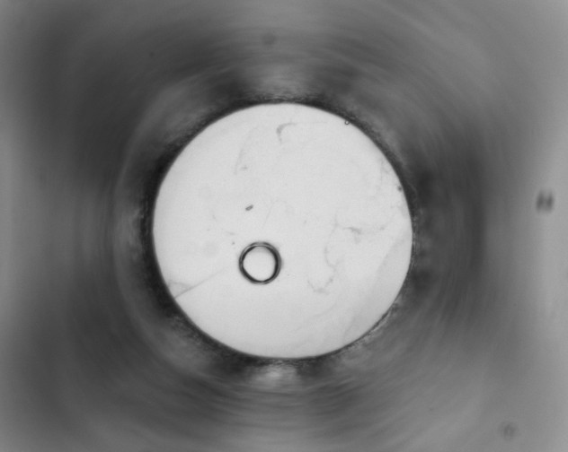 X0000103150162200808221339