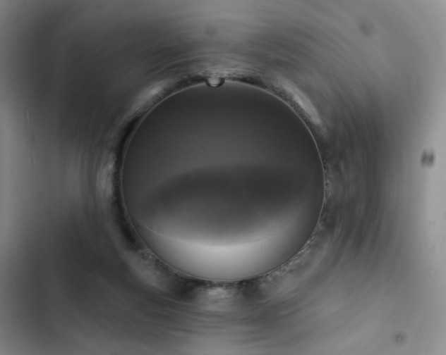 X0000103150163200808221339