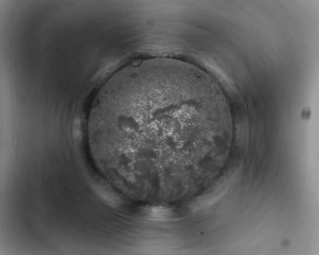 X0000103150165200808221339