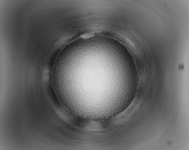 X0000103150166200808221339