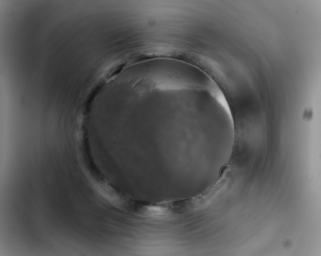 X0000103150167200808221339