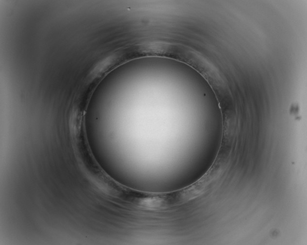 X0000103150168200808221339