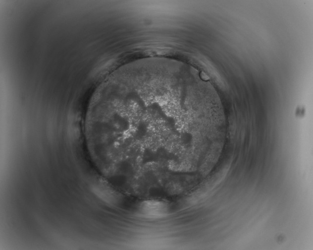 X0000103150169200808221339