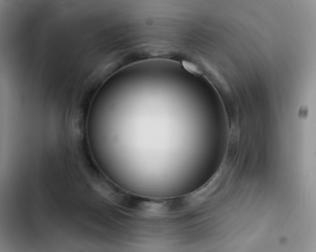 X0000103150170200808221339