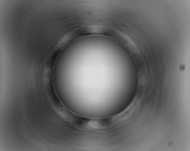 X0000103150171200808221339