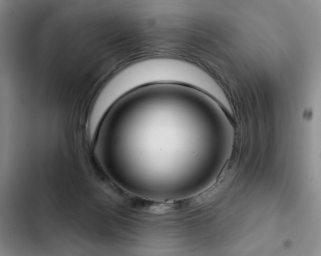 X0000103150172200808221339