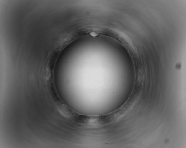 X0000103150173200808221339