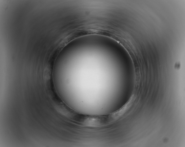 X0000103150174200808221339